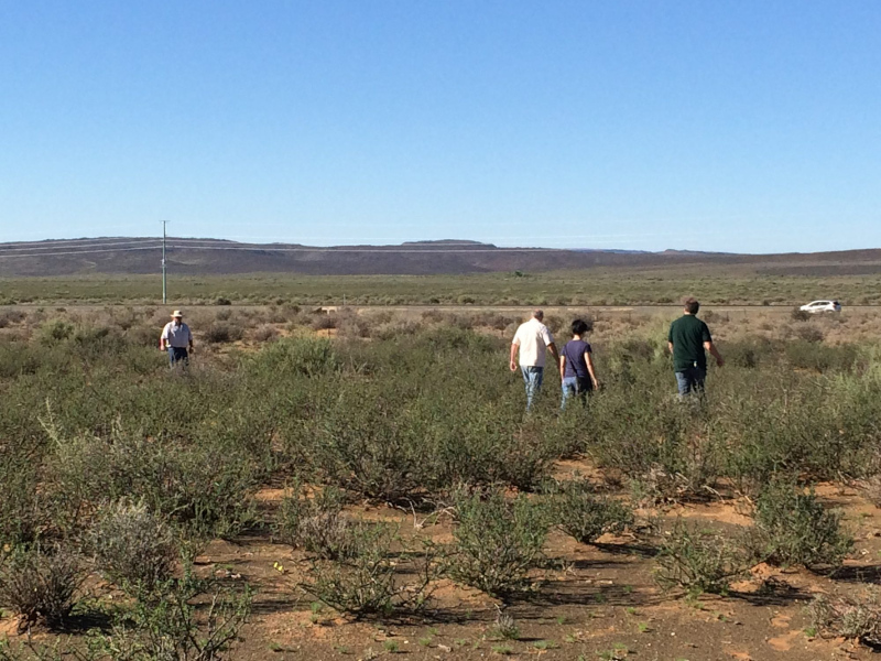 HIRAX site in the Karoo